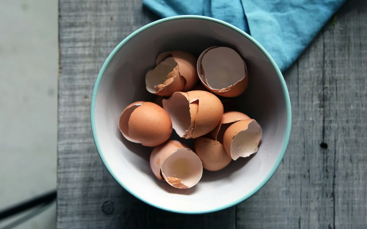 Caroline Attwood @ Unsplash