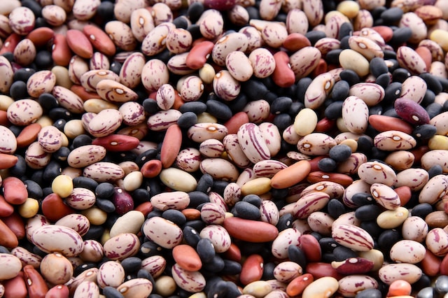 Legumes: my stance on why and why not (1/2)