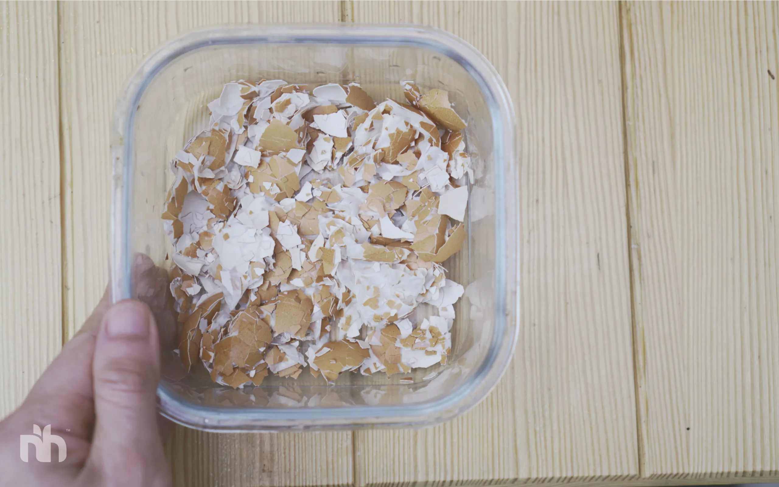 DIY Egg Shells